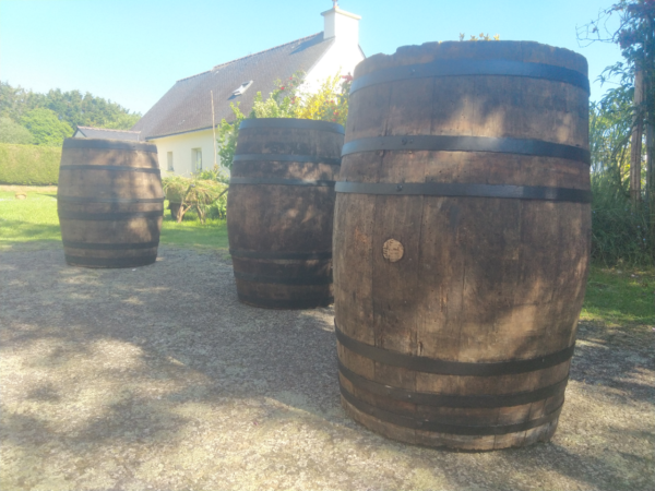 Tonneaux barriques bois / manges debout – Image 3