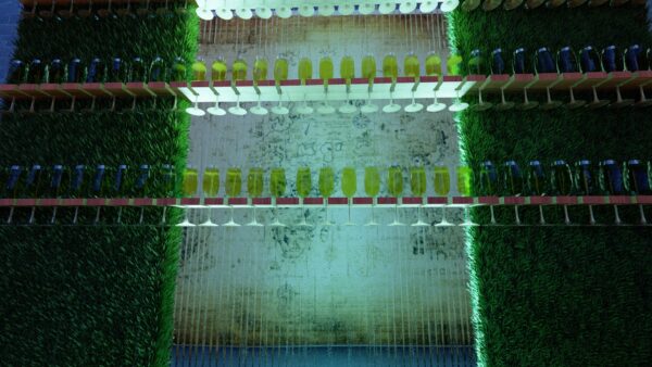 Mur de champagne – Image 2