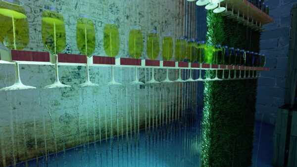 Mur de champagne – Image 4
