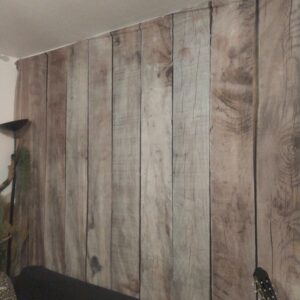 IMG_20231024_222041 Toile de fond - décor arrière effet Bois