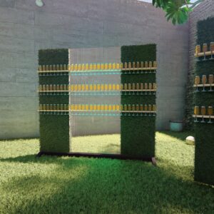 Mur exterieur mur de champagne "campagne"