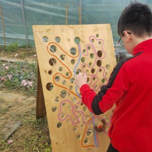 La planche à trous – Jeu en bois La planche à trous - Jeu en bois